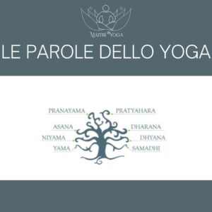 Le otto parti dello yoga: yama nyama asana pranayama pratyhara dharana dhyana samadhih (II.29)